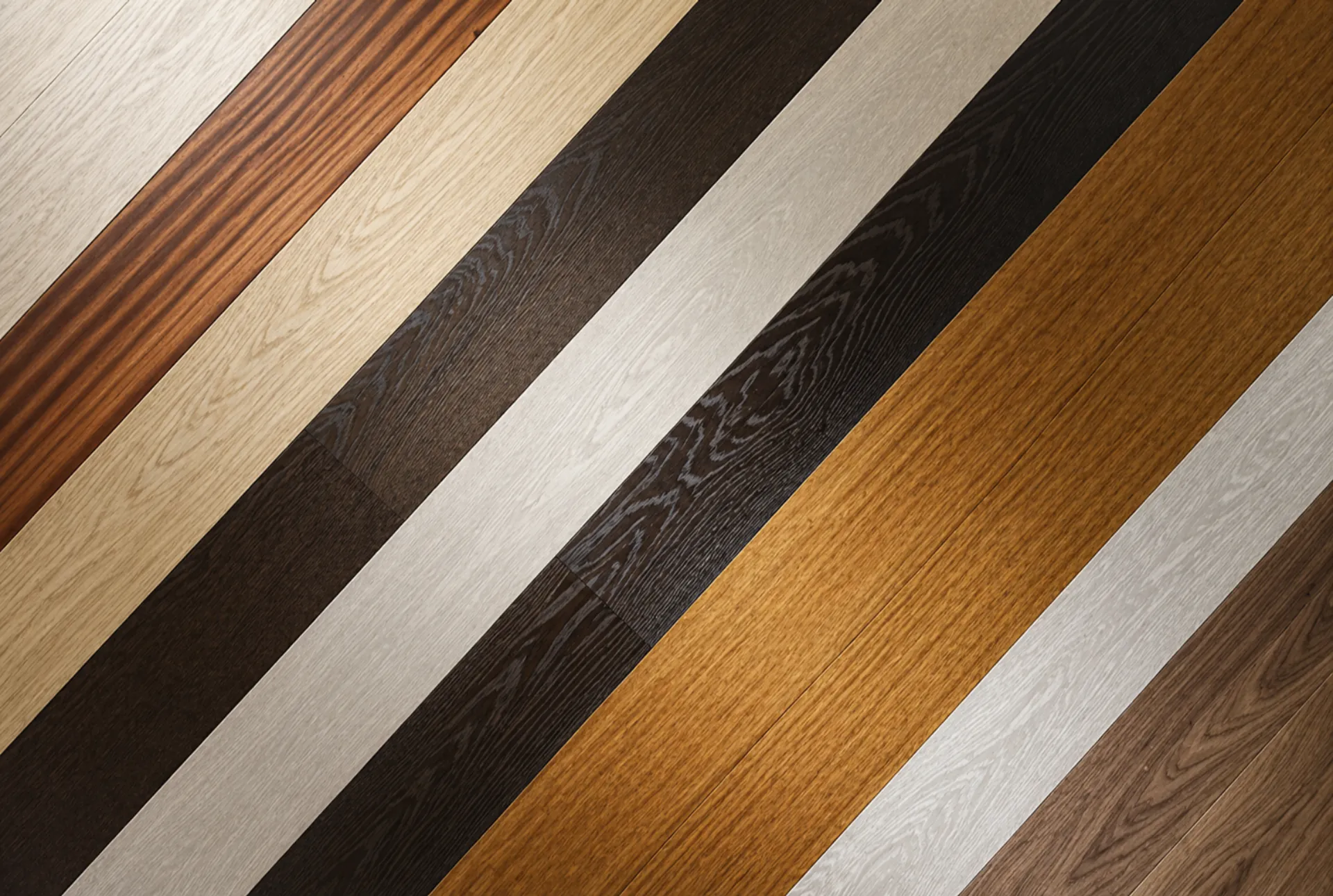 different color in woods