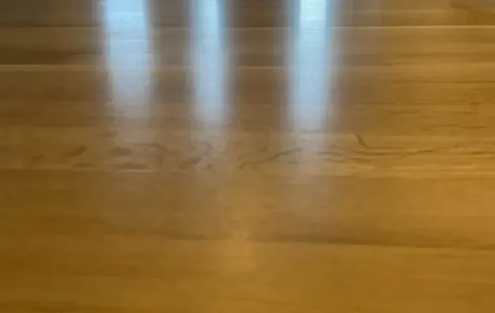 Hardwood Floor Polishing Service