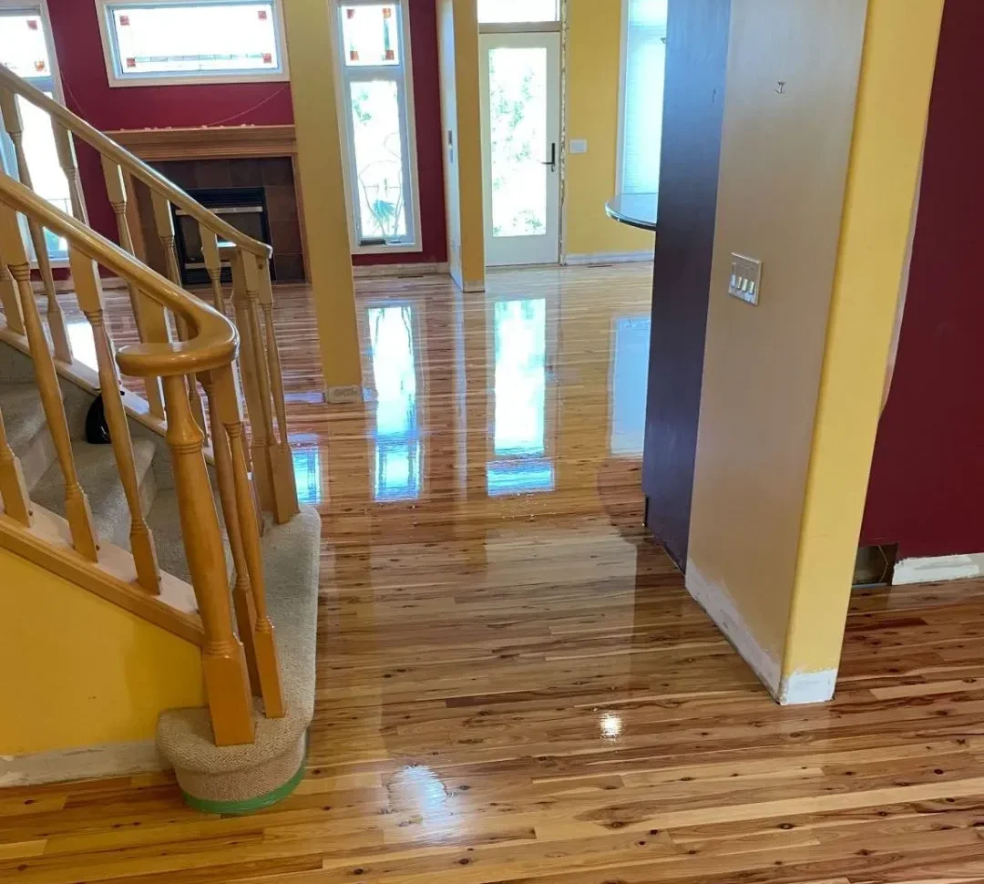 A wide angle view of professional hardwood floor refinishing on knotty pine planks, showing a high gloss protective topcoat reflecting the bright interior windows and yellow walls